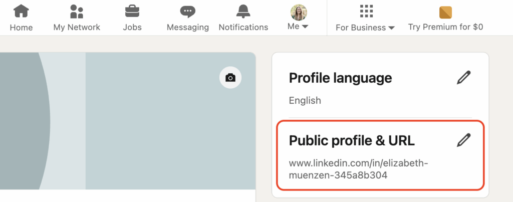 LinkedIn public profile and URL field.