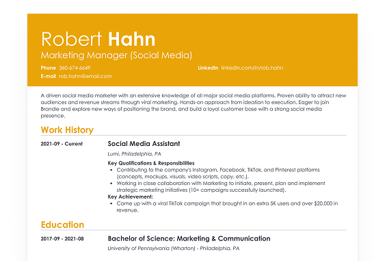 student resume